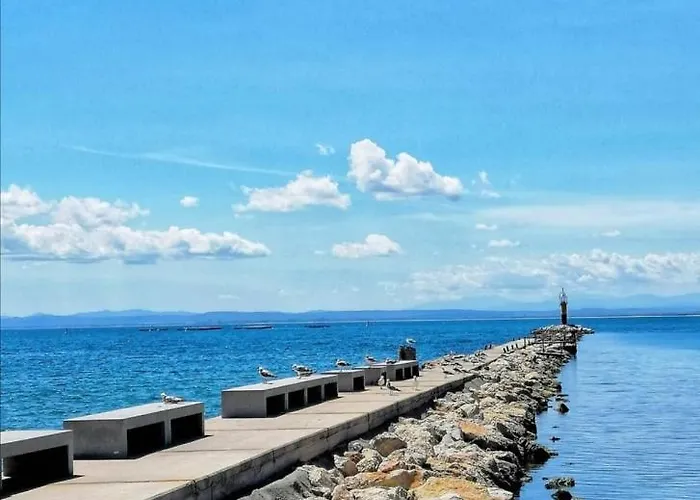 Global Immo 3341 Nancy * Roses